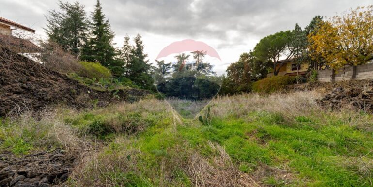 20221230124527-721750-13