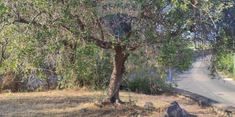 20231107182455-802495-12