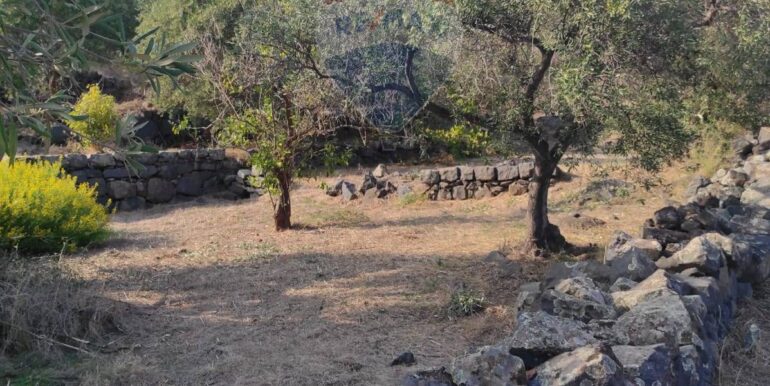 20231107182513-802495-20