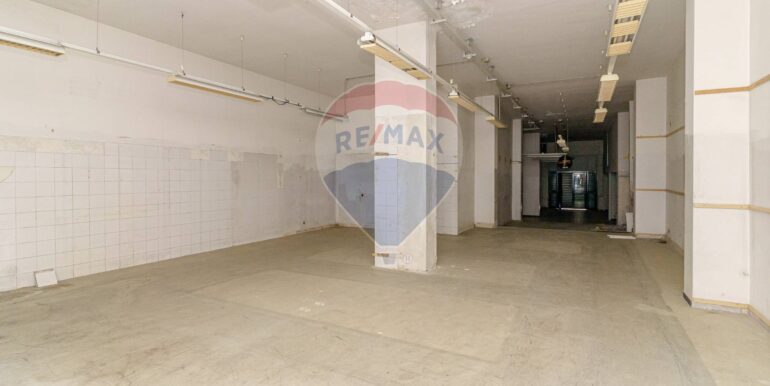 20231212103205-814939-3