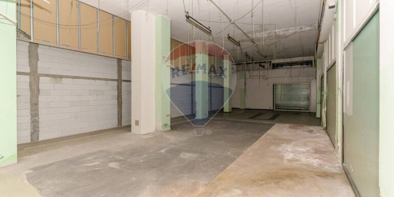 20231212103206-814939-6