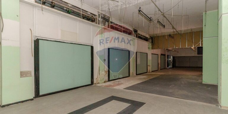 20231212103206-814939-8