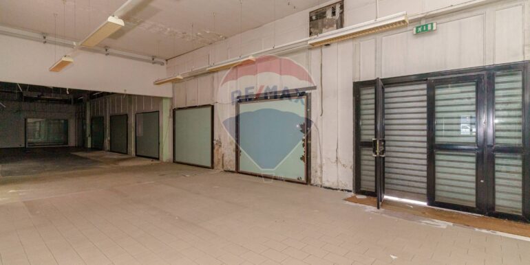 20231212103207-814939-9