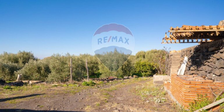 2024021572330-831853-1