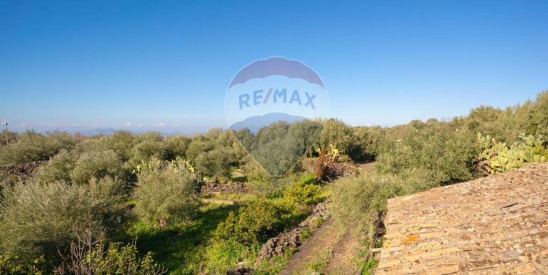 2024021572332-831853-2