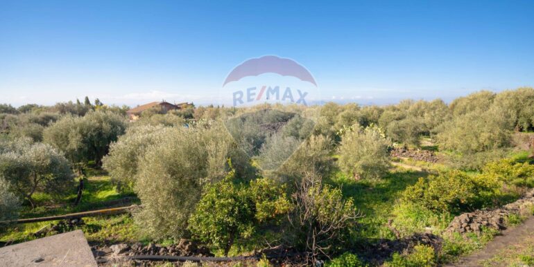 2024021572335-831853-3