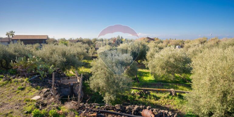 2024021572340-831853-5