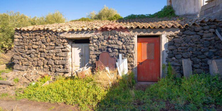 2024021572345-831853-7