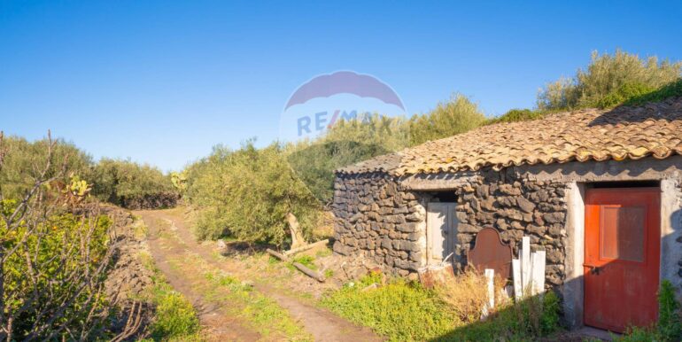 2024021572348-831853-8