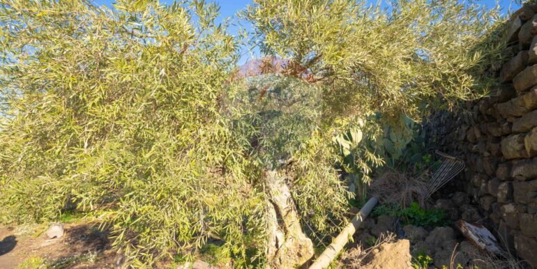 2024021572351-831853-9