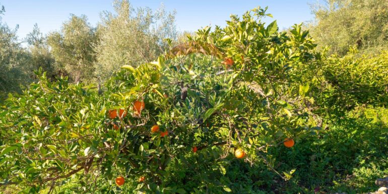 2024021572354-831853-10