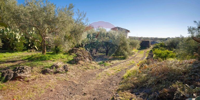 2024021572358-831853-11