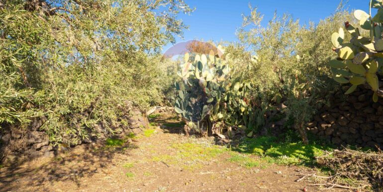 2024021572401-831853-12