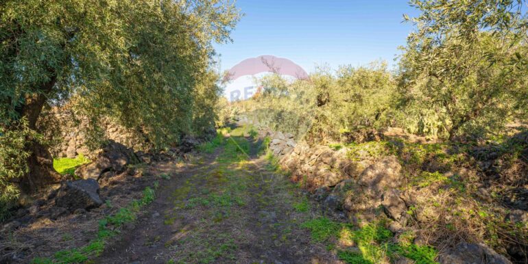 2024021572404-831853-13