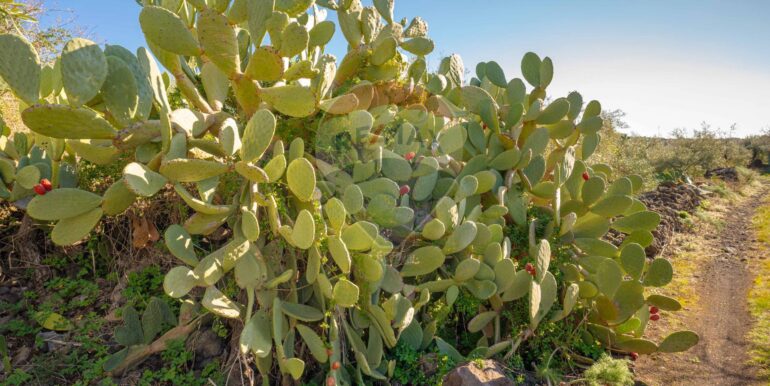 2024021572407-831853-14