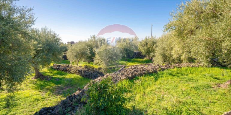 2024021572414-831853-16