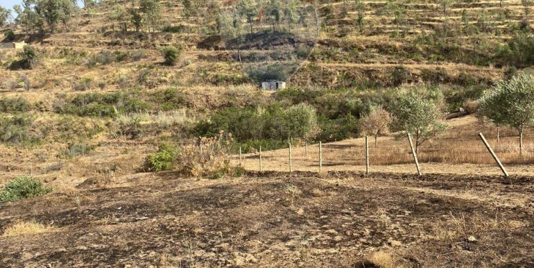 2024071891552-876324-2