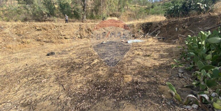 2024071891612-876324-13