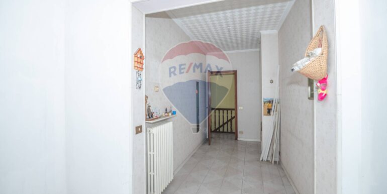 20241220195843-911487-13