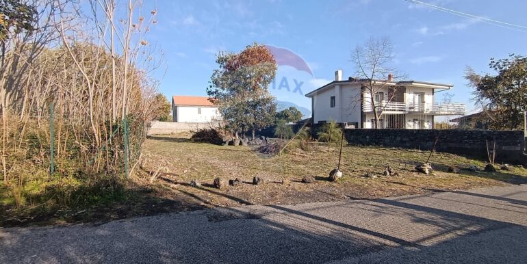 20250101150602-915808-1