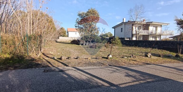 20250101150605-915808-2