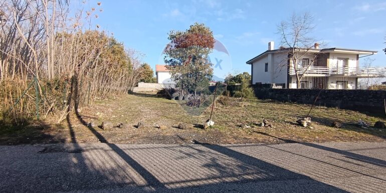 20250101150608-915808-3