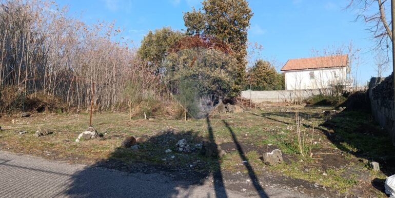 20250101150613-915808-4