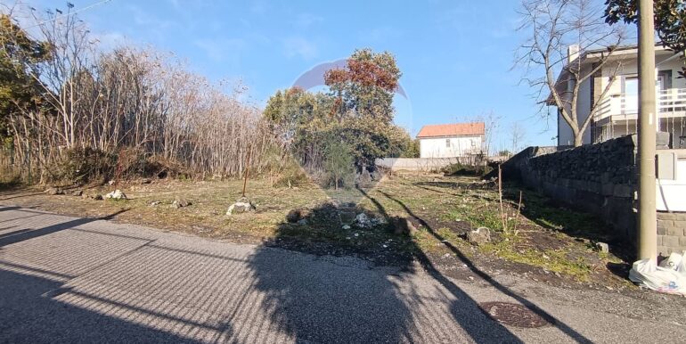 20250101150616-915808-5