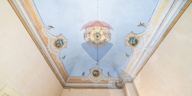 20250102155230-914423-9