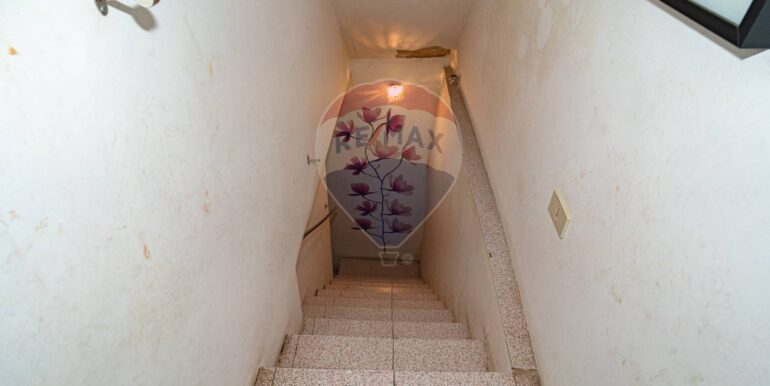 20250110121808-918637-0