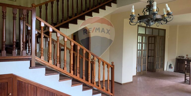 20250115154330-919722-1