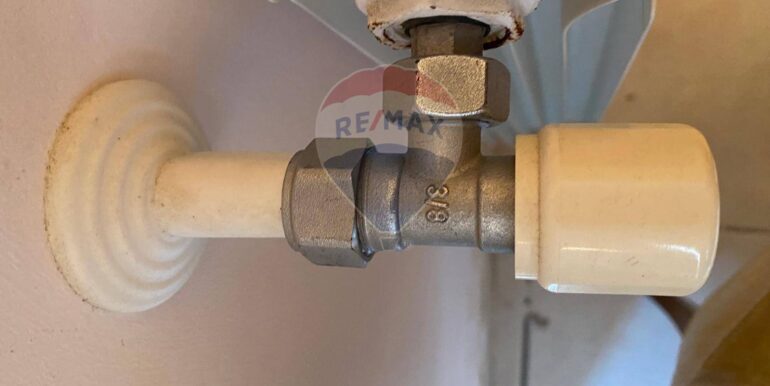 20250118120751-919686-8