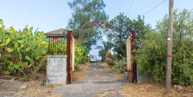 2025012104217-920786-8