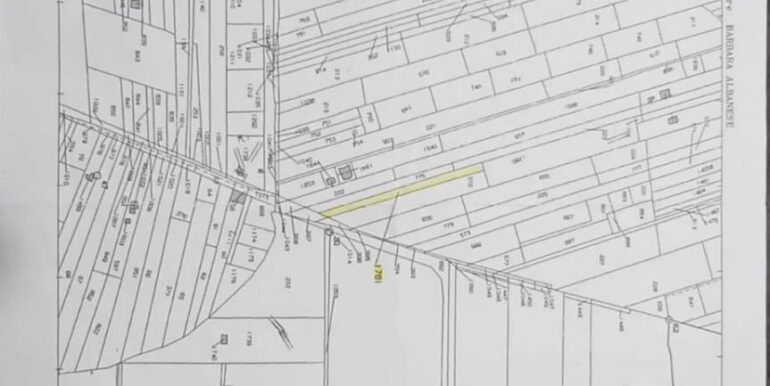 20250127120411-922441-7