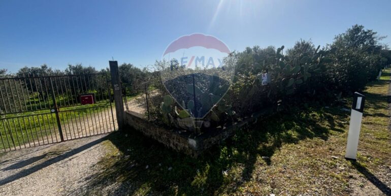 20250128141543-922441-9