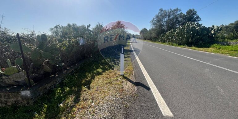 20250128141548-922441-11