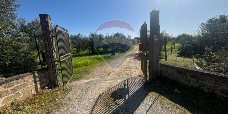 20250128141551-922441-12