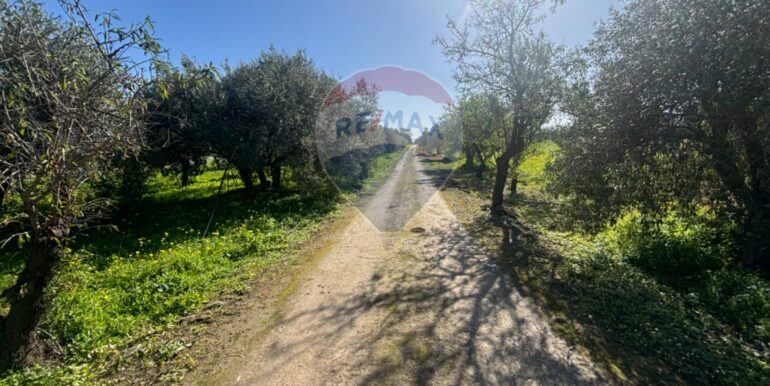 20250128141554-922441-13