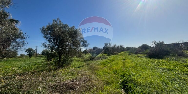 20250128141557-922441-14