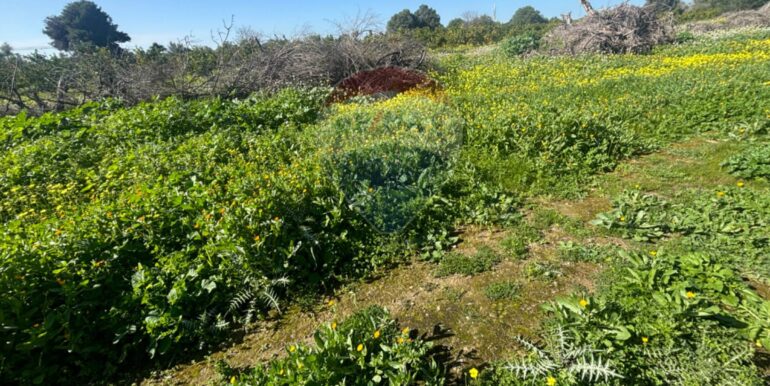 20250128141604-922441-17