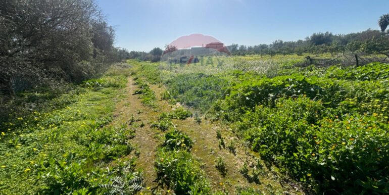 20250128141607-922441-18