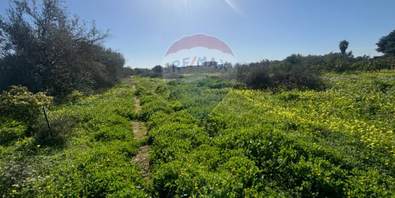 20250128141610-922441-19