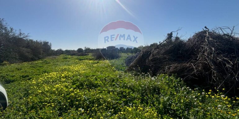 20250128141613-922441-20