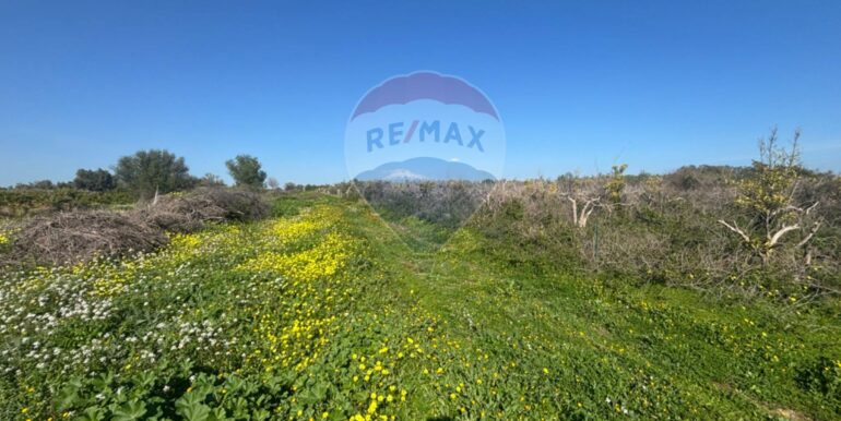 20250128141616-922441-21