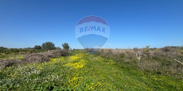 20250128141618-922441-22