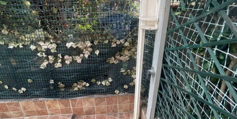 20250129122538-922365-10