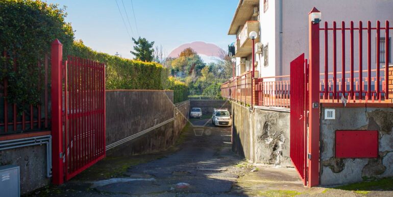 20250129165526-922593-1