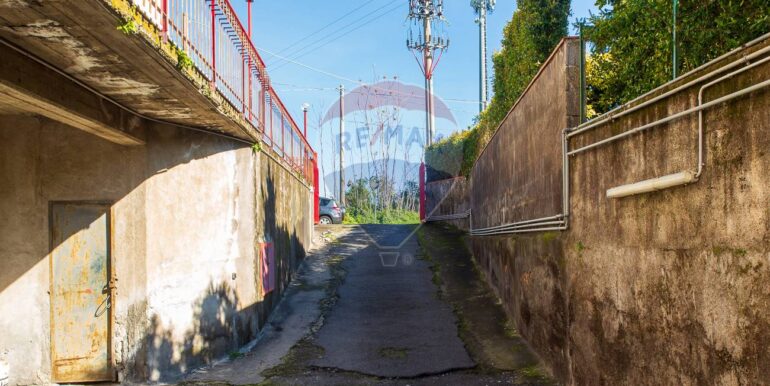 20250129165554-922593-5