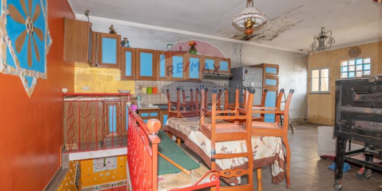 20250202204155-923305-7