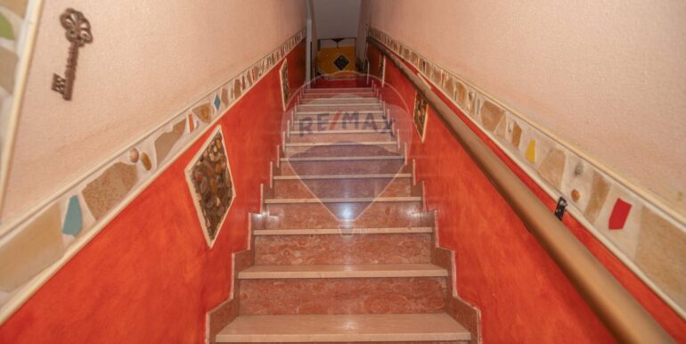 20250202204224-923305-18